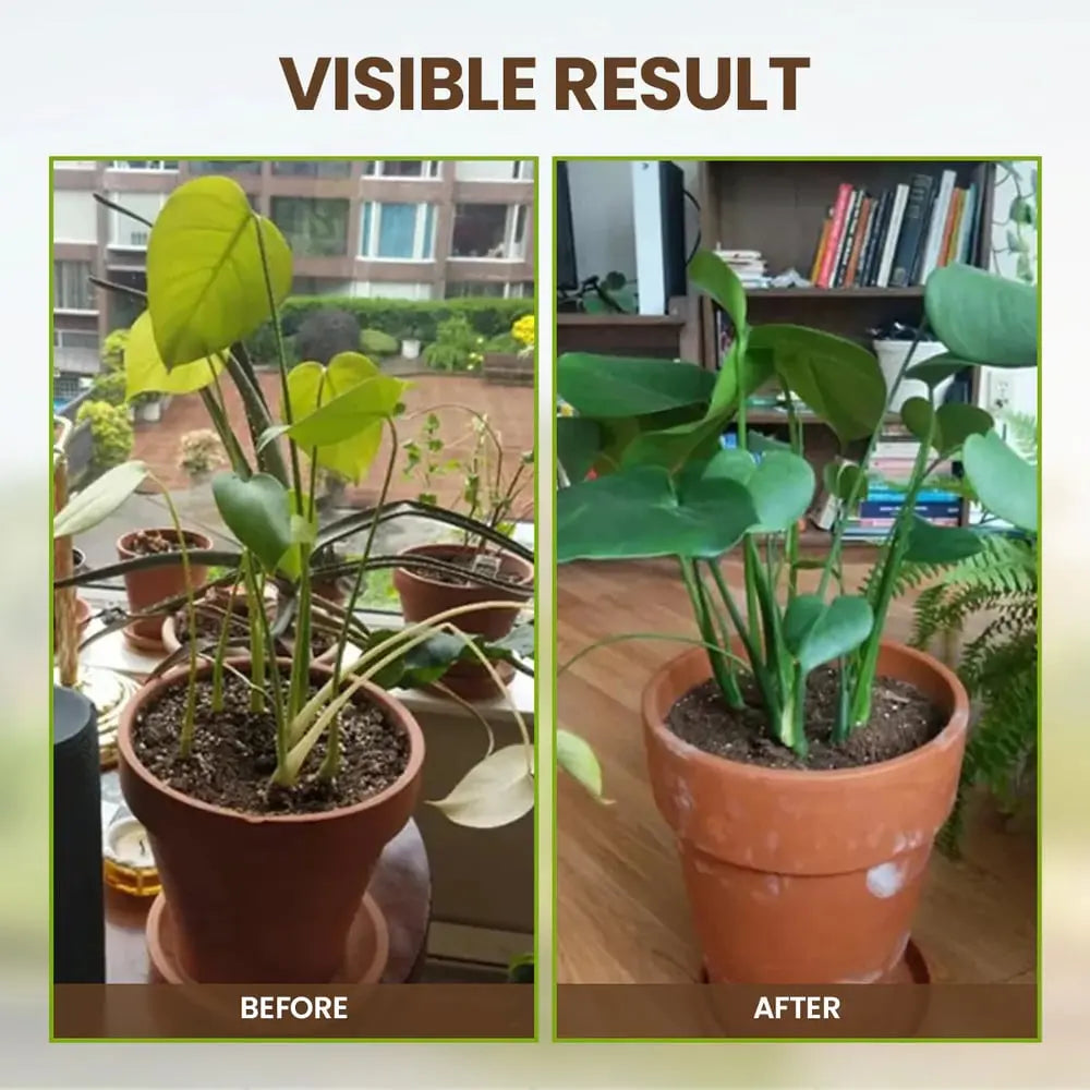 Kalsten | Organic Soil Activator for Robust Plant Growth