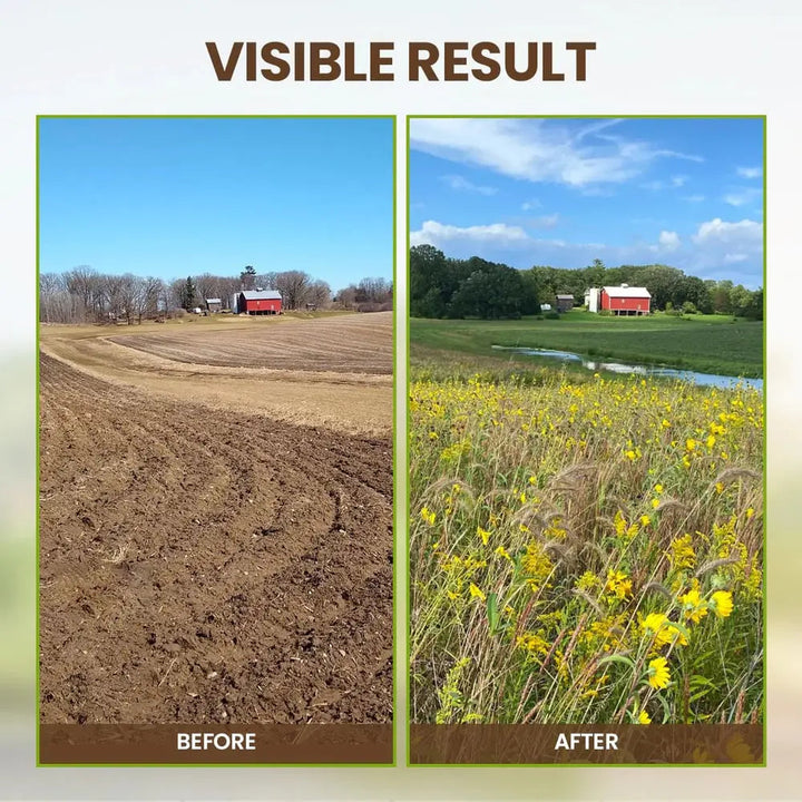 Kalsten | Organic Soil Activator for Robust Plant Growth
