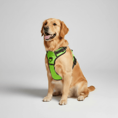 Skanto | Reflective, Breathable Dog Harness for Small and Large Dogs