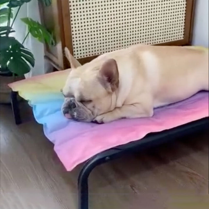 IcePup Frenchie Summer Cooling Mat with Advanced Ice Tech | Kalsten