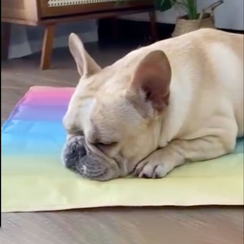 IcePup Frenchie Summer Cooling Mat with Advanced Ice Tech | Kalsten