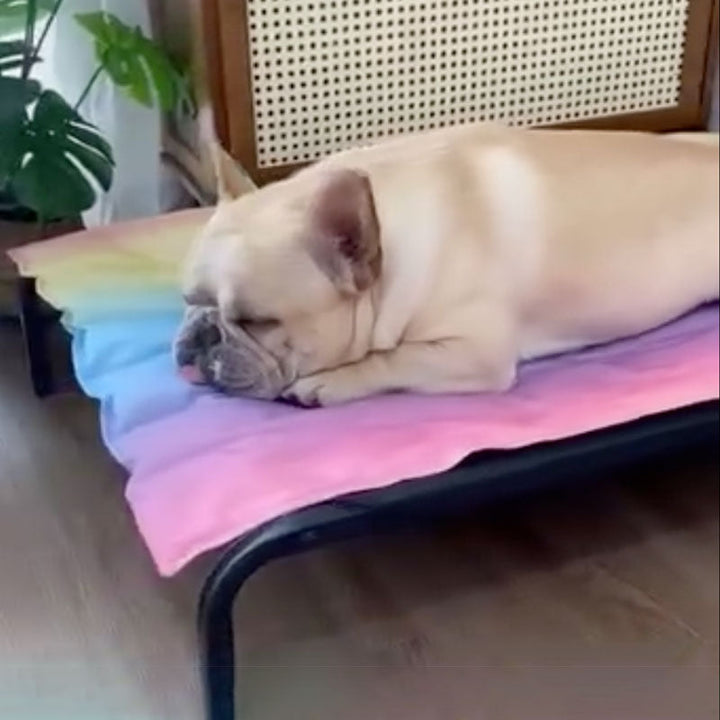 IcePup Frenchie Summer Cooling Mat with Advanced Ice Tech | Kalsten
