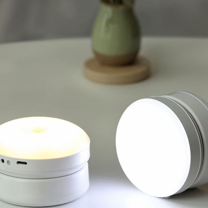 Indoor LED Motion Sensor Light Kalsten
