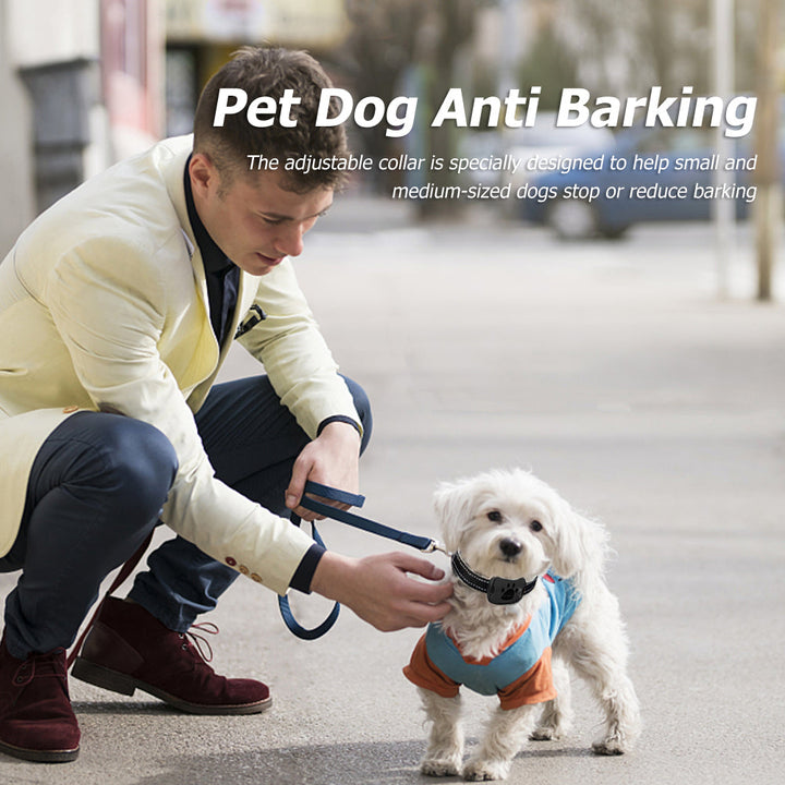 Anti-Bark Training Collar with Vibration