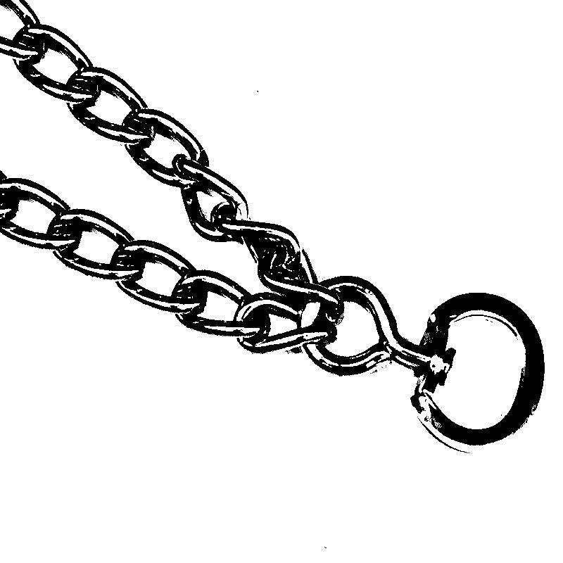 Pinch Collar For Dogs | Kalsten
