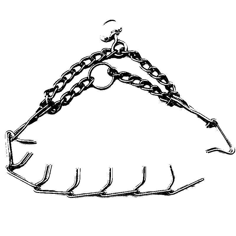Pinch Collar For Dogs | Kalsten