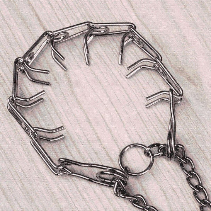 Pinch Collar For Dogs | Kalsten