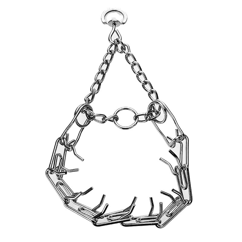 Pinch Collar For Dogs | Kalsten