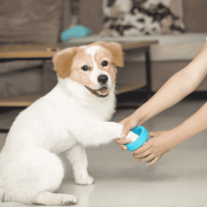 Portable Pet Paw Cleaner | Kalsten