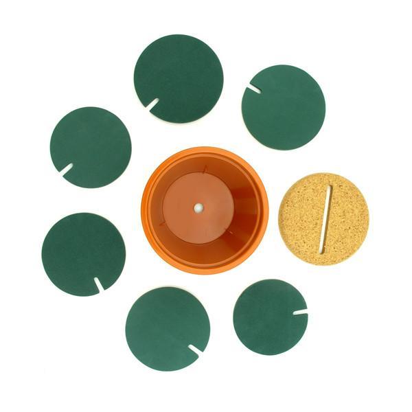Potted Cactus Coasters | Kalsten