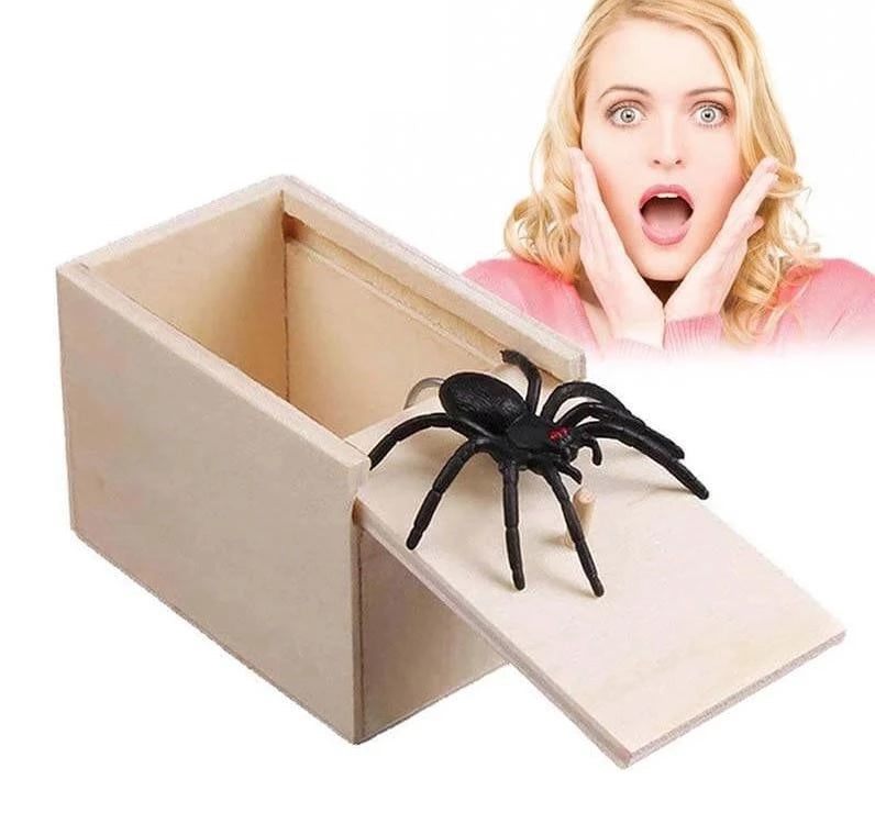 Spider Prank Box | Kalsten