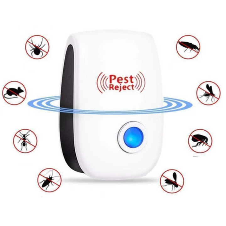 Professional Pest Controller | Never bother with pests again | Kalsten