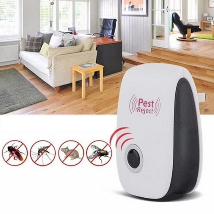 Professional Pest Controller | Never bother with pests again | Kalsten