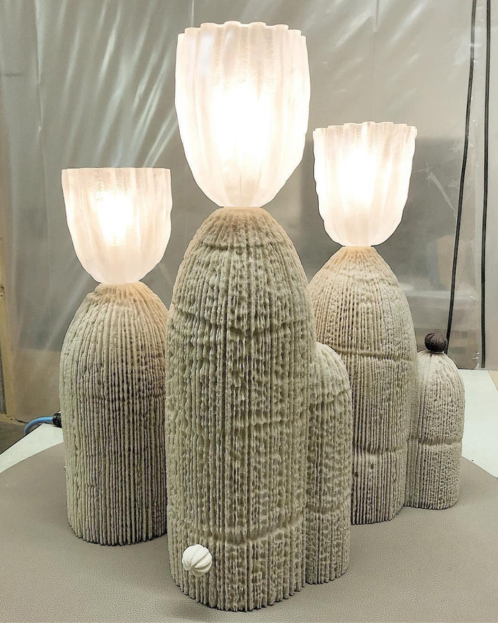 RBS Cactus Lamp | Kalsten