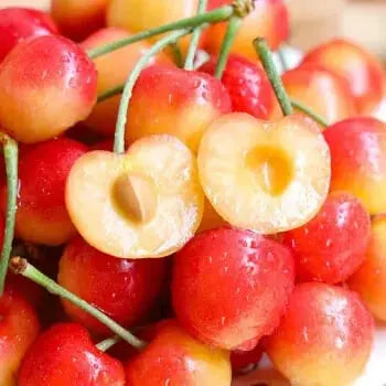 Kalsten | Rainier Cherry Seeds – High Quality Cherries