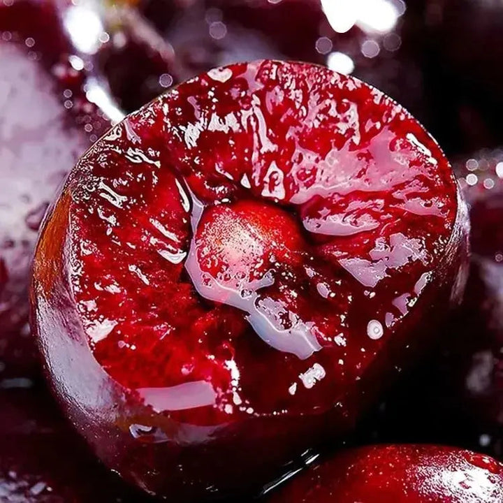 Kalsten | Rainier Cherry Seeds – High Quality Cherries