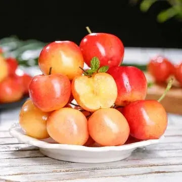 Kalsten | Rainier Cherry Seeds – High Quality Cherries