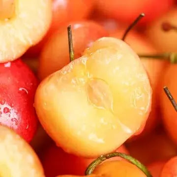Kalsten | Rainier Cherry Seeds – High Quality Cherries