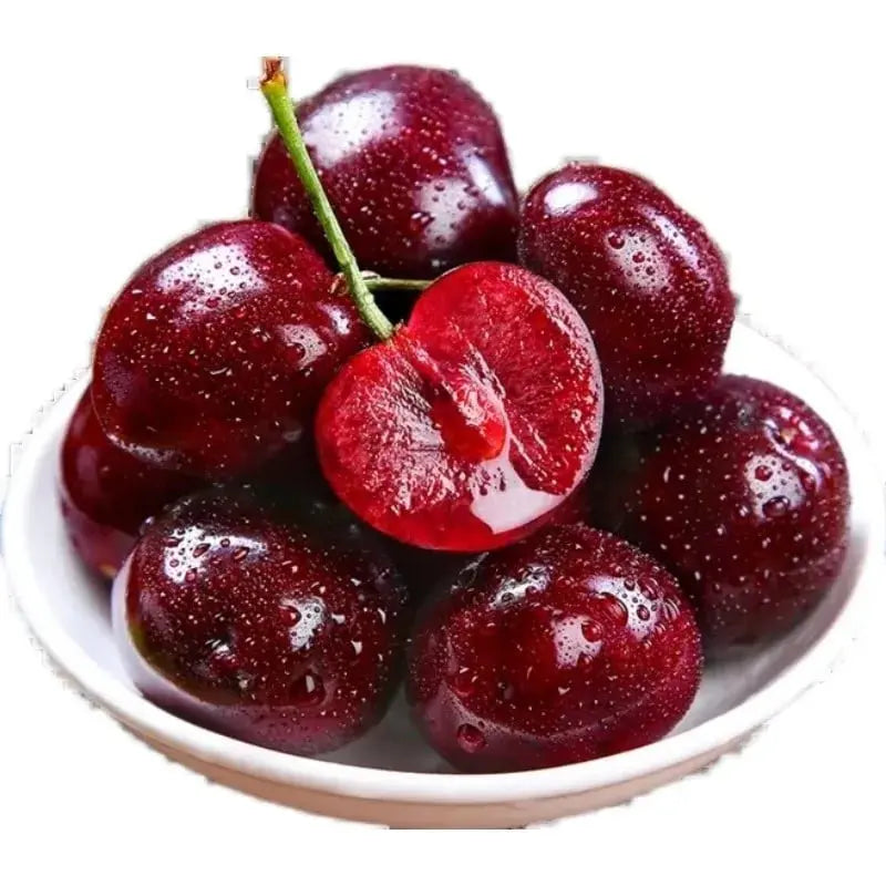 Kalsten | Rainier Cherry Seeds – High Quality Cherries