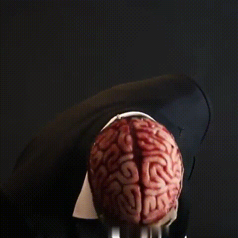 Kalsten | Halloween Skull Mask with Brain Detail