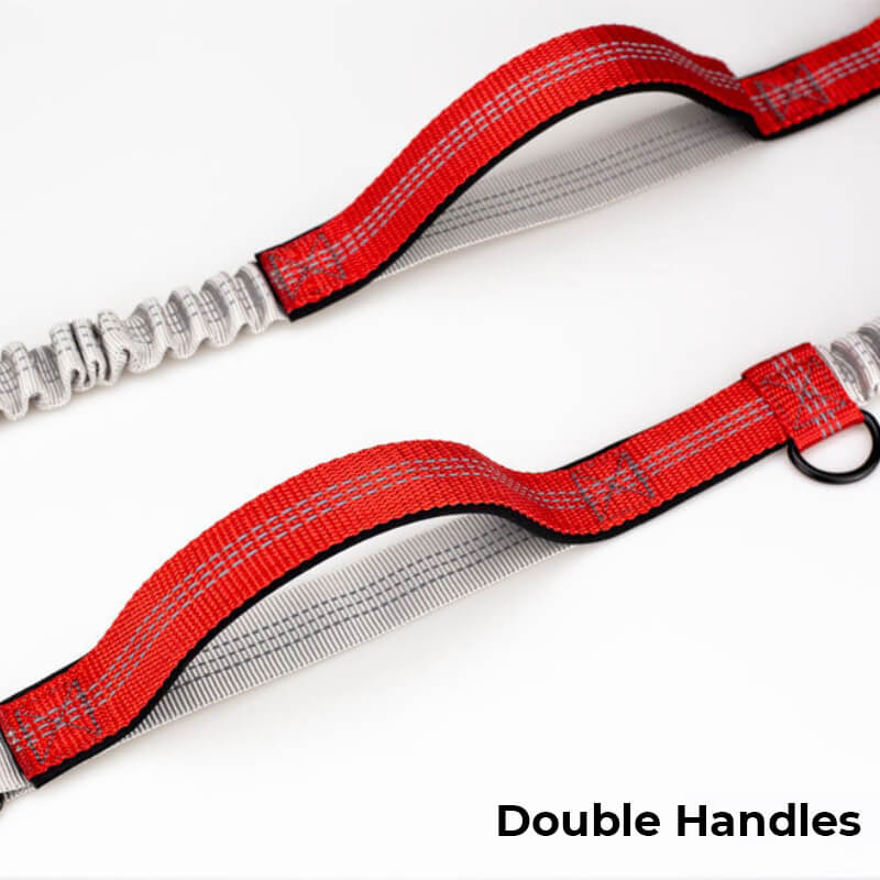 BowLift | Telescopic Double Handle Multifunctional Dog Leash