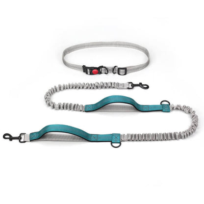 BowLift | Telescopic Double Handle Multifunctional Dog Leash