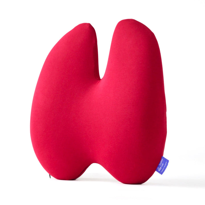 Lumbar Pain Cushion | Kalsten