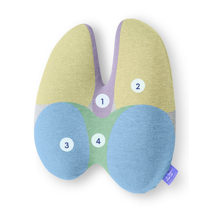 Lumbar Pain Cushion | Kalsten