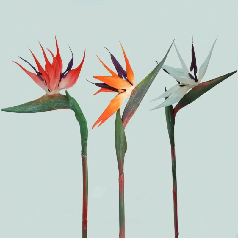 Kalsten | Floriva 3 Piece Set Artificial Strelitzias | Bird of Paradise Flowers | 24.5 cm Long Stems | Decoration for Home, Office & Events