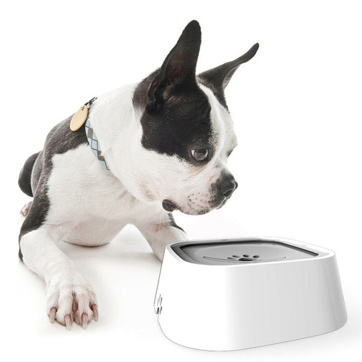 DrinkGuard - Smart Water Bowl for Dogs Kalsten