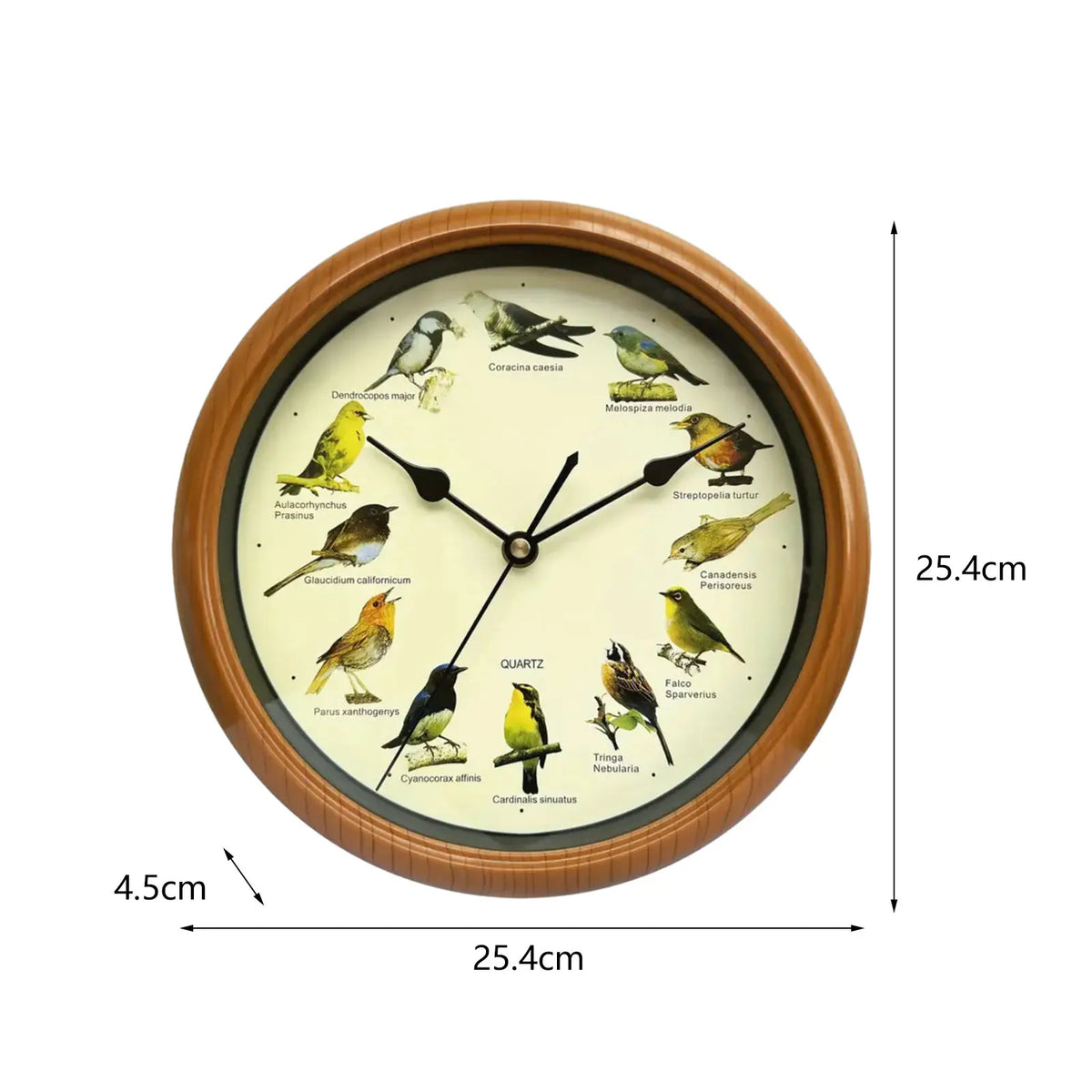 BirdSong Clock – 10-Inch Wall Clock for Stylish Interiors Skanto