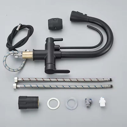 Matte Black Filter Faucet for the Kitchen, Pull-Out Spray, 360° Rotation, Three-Way Water Filter Tap, Sink Mixer | Brehn