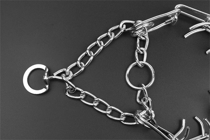Stylish Dog Pinch Collar