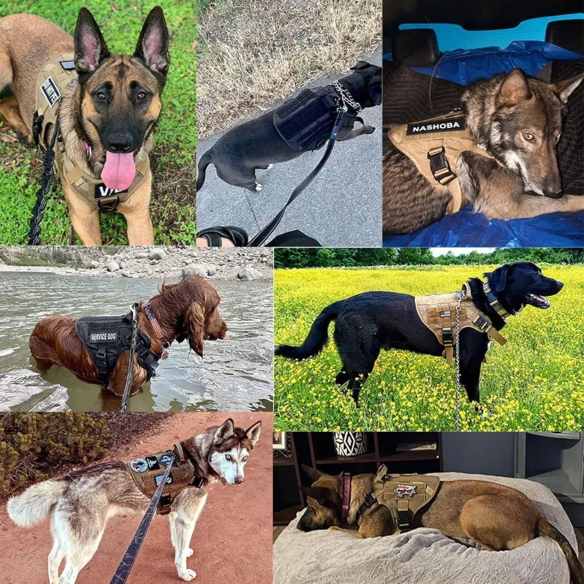Skanto | KrachtGrip Dog Harness – Adjustable Tactical Harness for Training & Walks