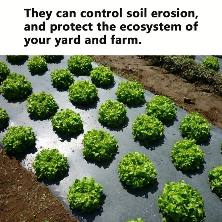 Kalsten | AgroShield Weed Fabric | Black Mulch Film | Plant Protection & Yield Increase | Ideal for Greenhouses