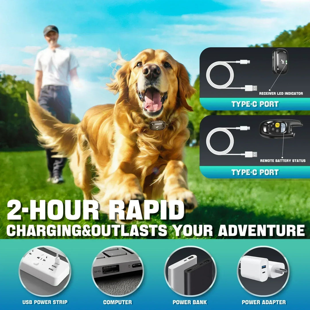 Remote Dog Training Collar – Sound & Vibration