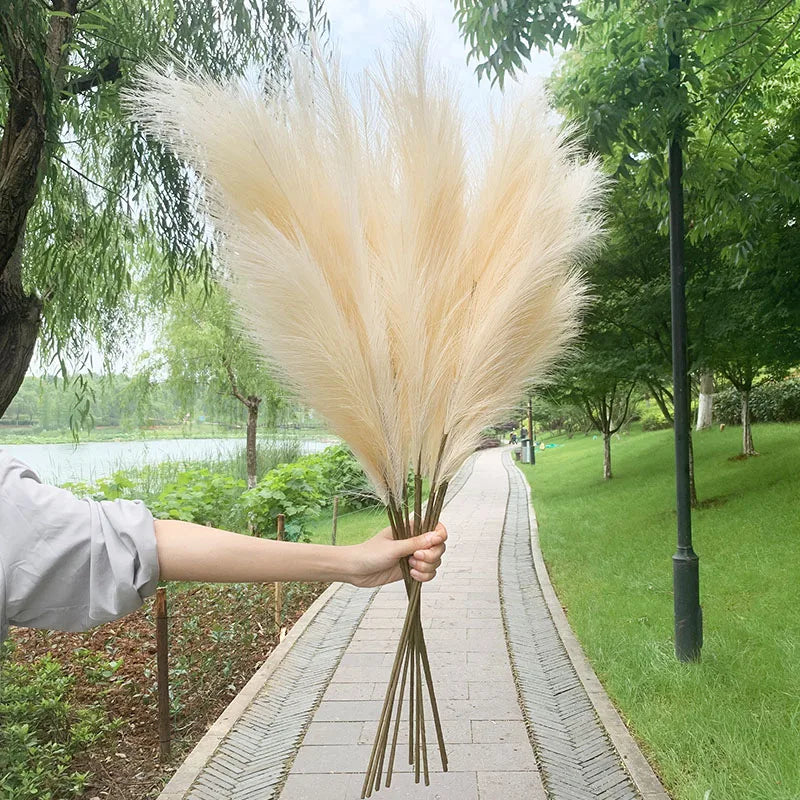 Kalsten | 5 pieces 100 cm Artificial Pampas Grass Dried Flower Bouquet Wedding Party Decoration Home Room DIY Artificial Plants Decoration Supplies