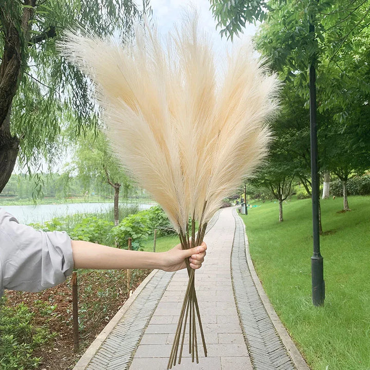 Kalsten | 5 pieces 100 cm Artificial Pampas Grass Dried Flower Bouquet Wedding Party Decoration Home Room DIY Artificial Plants Decoration Supplies