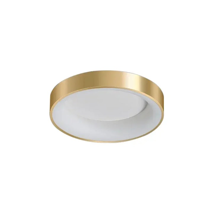 Modern LED Ceiling Light – Dimmable Gold Surface-Mounted Lamp for Master Bedroom, Study, Balcony, and Corridor | Kalsten