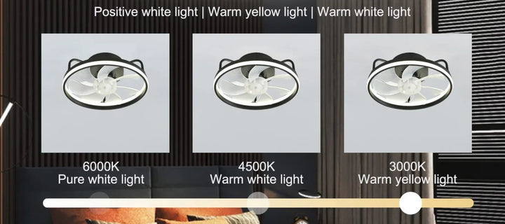 Modern LED Ceiling Fan Light with DC Motor - 6 Speed, Timer, Low Floor Attic Fan, Remote Control Decorative Light | Kalsten