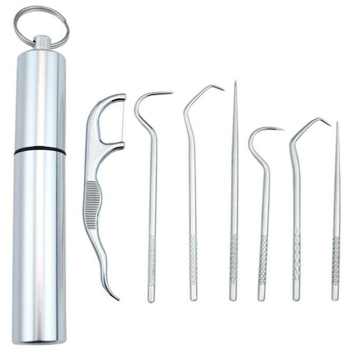 7-piece stainless steel toothpick set | Kalsten