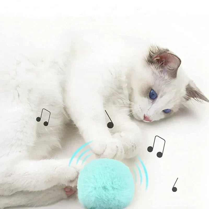 Kalsten | – smarter interactive plush ball for cats | buy 1, get 1 free 🎁
