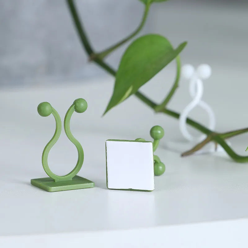 Self-Adhesive Plant Holder Mini Wall Clips | Kalsten
