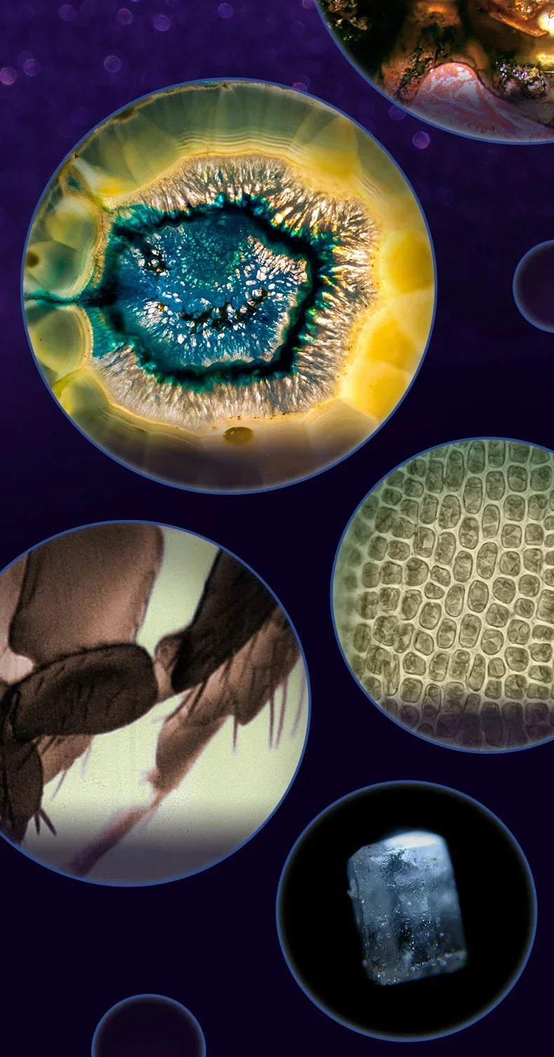 Kalsten | Portable HD Optical Adventure Microscope