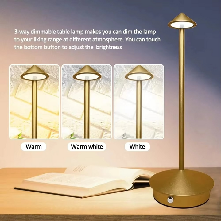 Rechargeable Touch LED Desk Lamp (3 Modes)