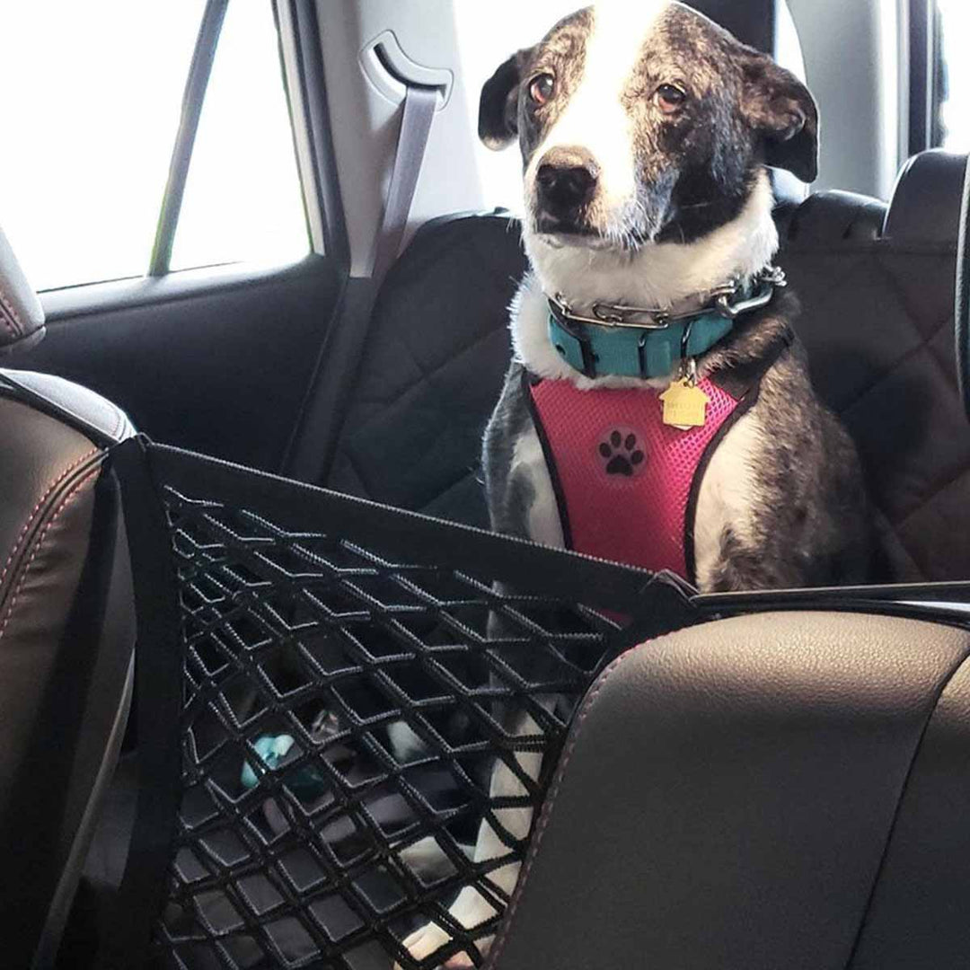 Kalsten | Safety Net for Car with Storage Space for Pets