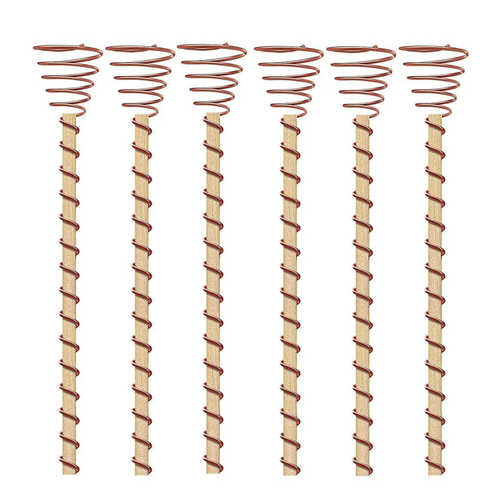 Kalsten | VerdoraFlux Electroculture Plant Antennas | Copper Growth Rods for Garden & Potted Plants | Promoting Plant Growth Without Fertilizer