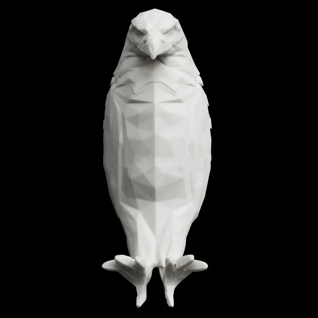 3D Eagle Wall Projection Lamp | Kalsten