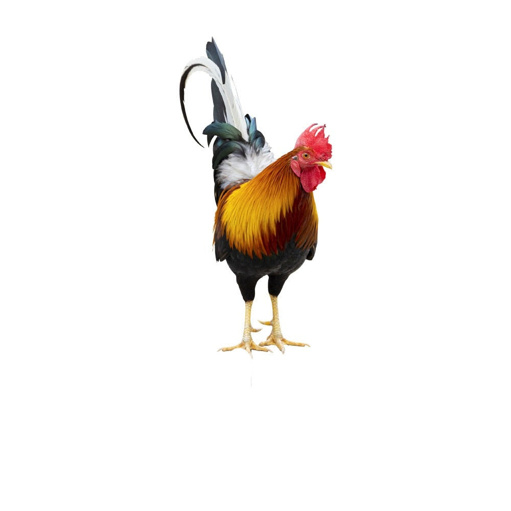 Kalsten | Garden figure: Feathered beauty