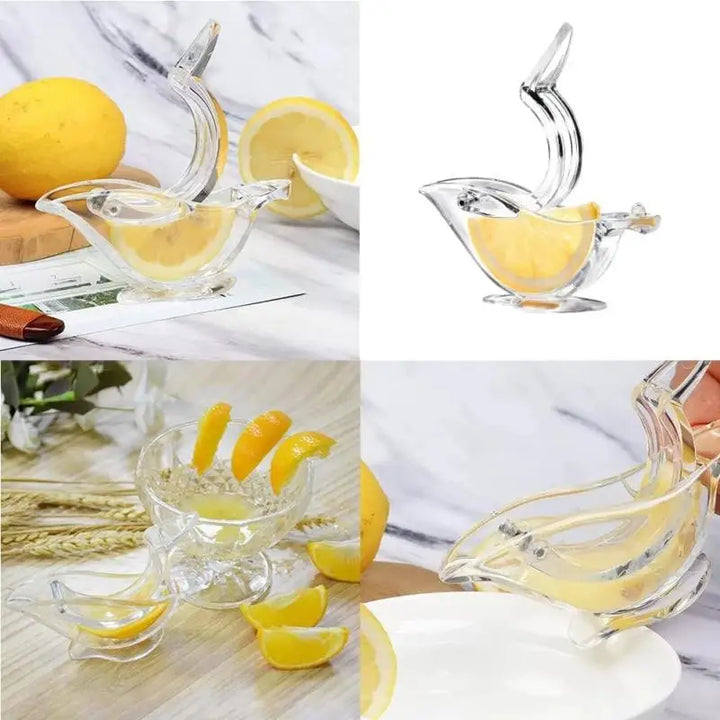 Kalsten | Acrylic Lemon Squeezer